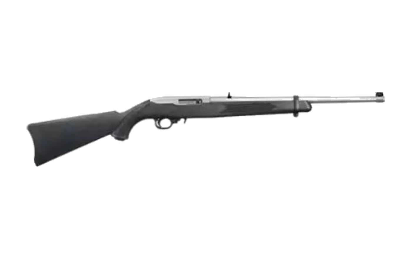 Ruger 1022